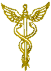 Chiropractic Life Center