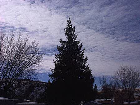 Contrails cancel out the sky